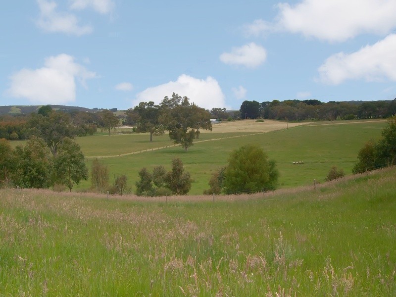 Lot 127 Pottery Road, Kuitpo SA 5172