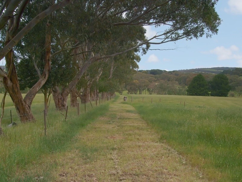 Lot 127 Pottery Road, Kuitpo SA 5172