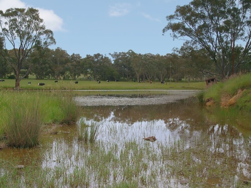 Lot 127 Pottery Road, Kuitpo SA 5172