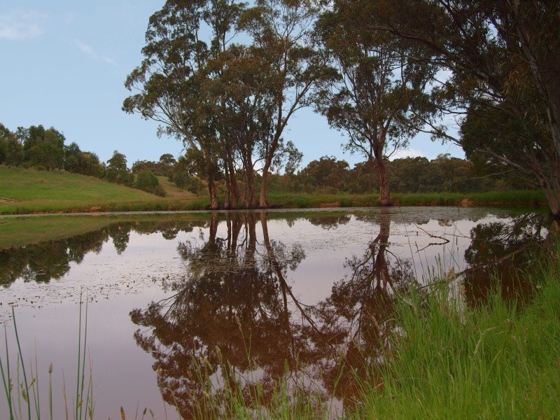 Lot 127 Pottery Road, Kuitpo SA 5172