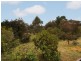 94 Longwood Road, Bradbury SA 5153