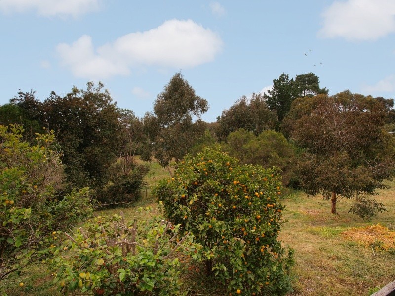 94 Longwood Road, Bradbury SA 5153