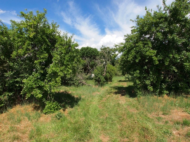 93 Mount Barker Road, Hahndorf SA 5245