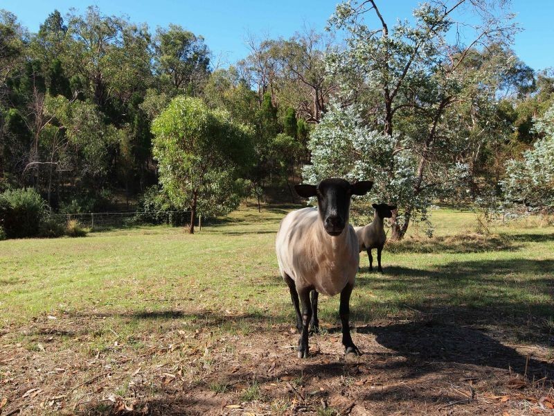 Lot 9, 130 Easlea Road, Littlehampton SA 5250