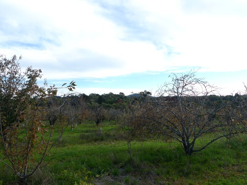 Lot 2 Elborough Avenue, Uraidla SA 5142