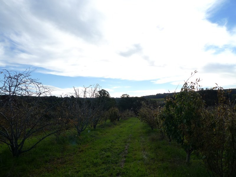 Lot 2 Elborough Avenue, Uraidla SA 5142