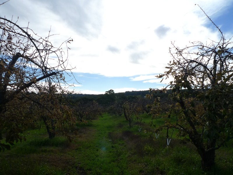 Lot 2 Elborough Avenue, Uraidla SA 5142