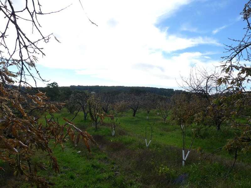 Lot 2 Elborough Avenue, Uraidla SA 5142