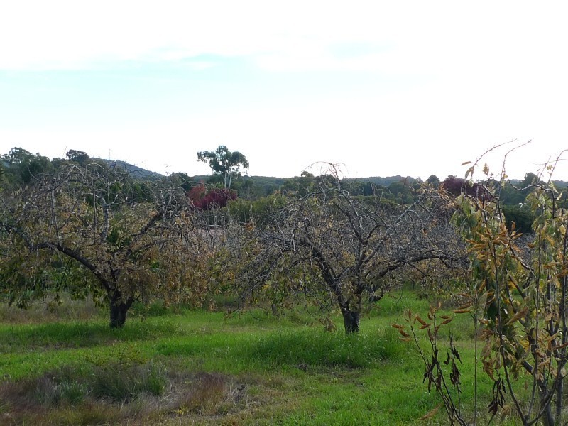 Lot 2 Elborough Avenue, Uraidla SA 5142