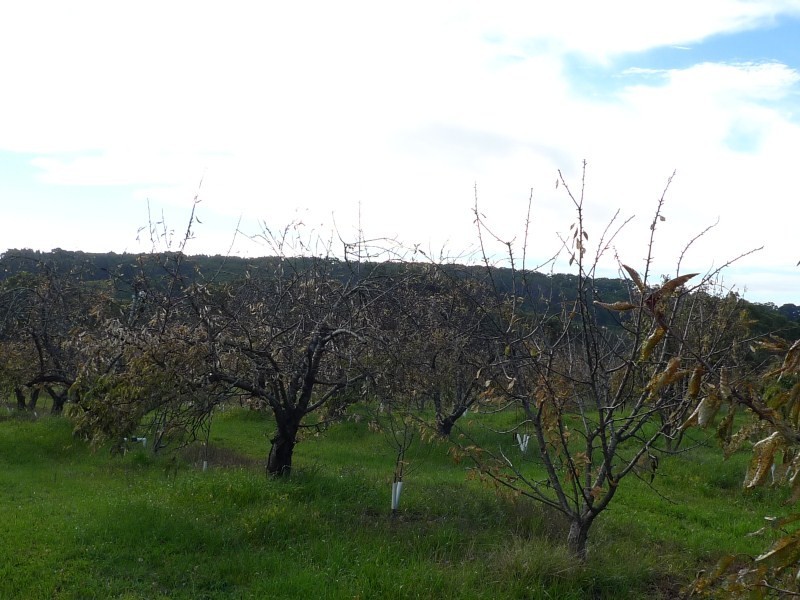 Lot 2 Elborough Avenue, Uraidla SA 5142