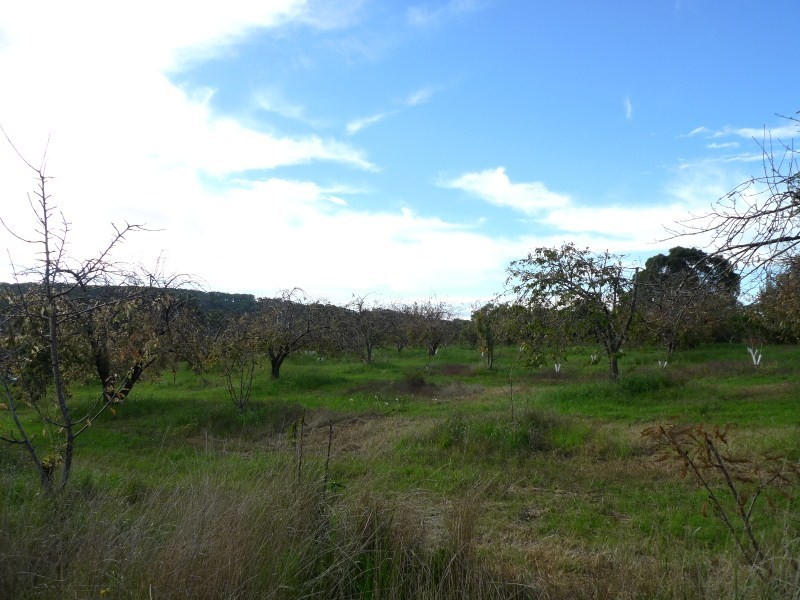 Lot 2 Elborough Avenue, Uraidla SA 5142