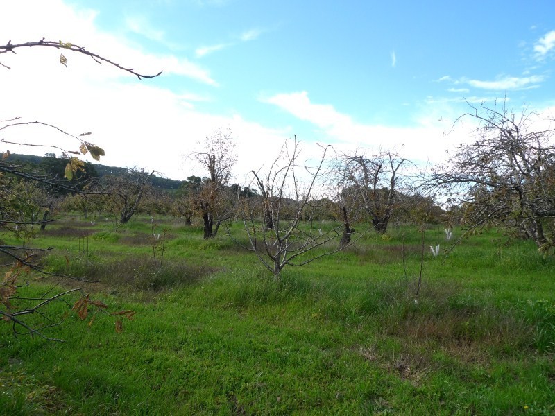 Lot 2 Elborough Avenue, Uraidla SA 5142