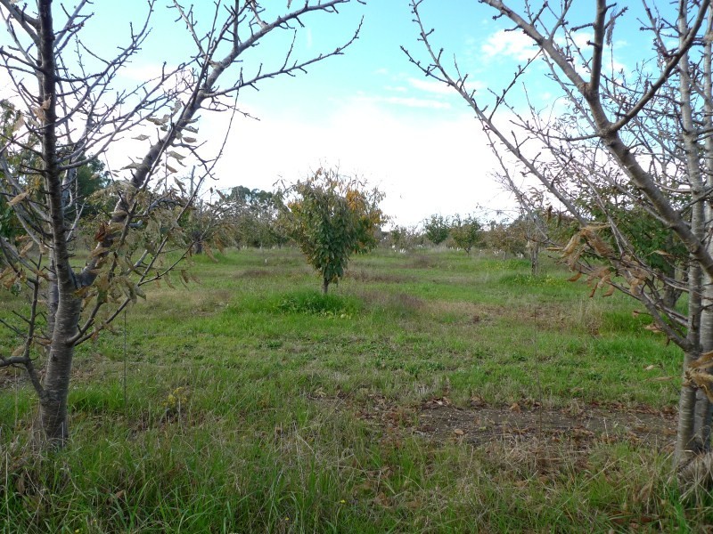 Lot 2 Elborough Avenue, Uraidla SA 5142