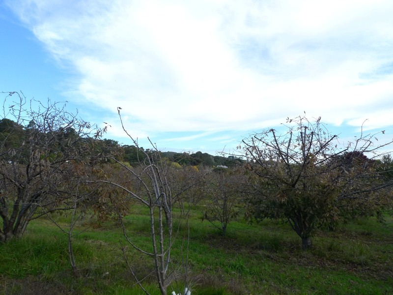 Lot 2 Elborough Avenue, Uraidla SA 5142