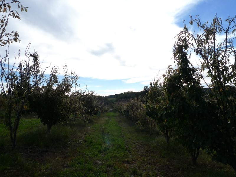 Lot 2 Elborough Avenue, Uraidla SA 5142