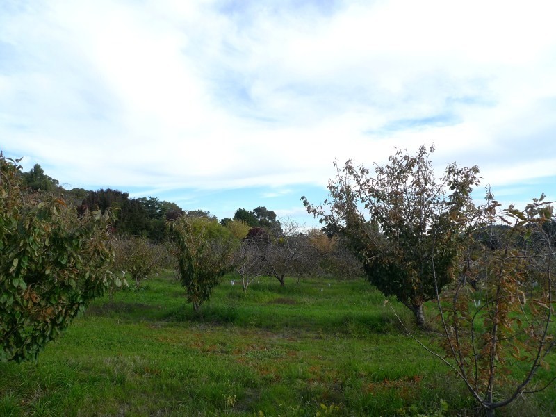 Lot 2 Elborough Avenue, Uraidla SA 5142