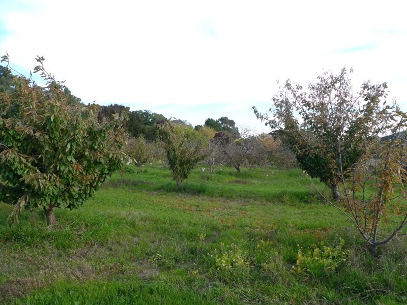 Lot 2 Elborough Avenue, Uraidla SA 5142