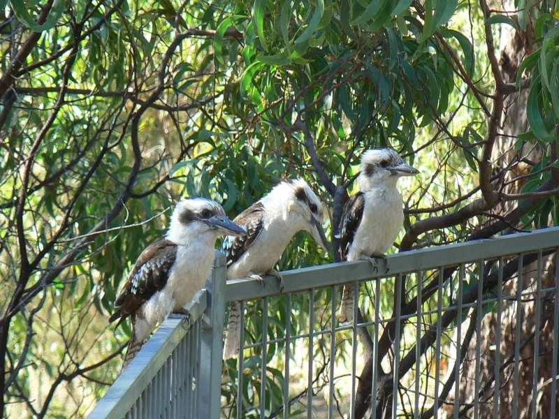 34 Frampton Road, Mount Barker SA 5251