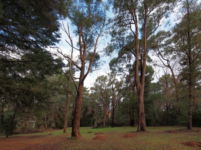 18 Heather Road, Aldgate SA 5154