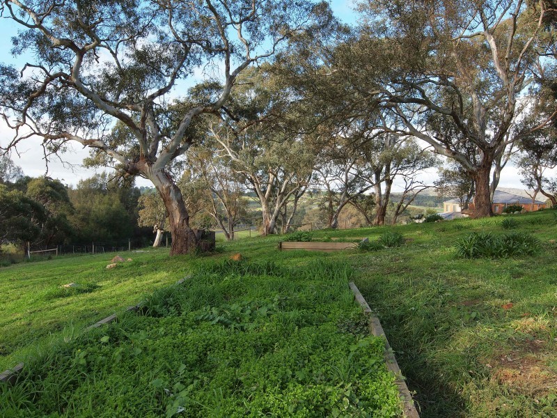 32 Yaktanga Way, Mount Barker SA 5251