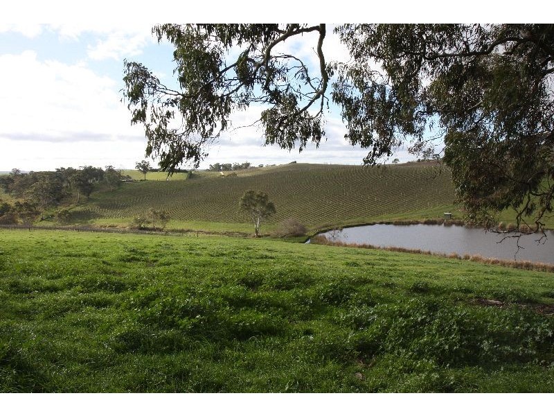 Lot 21 Schroeder Road, Hahndorf SA 5245