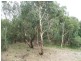 Lot 2, 127a North Road, Nairne SA 5252