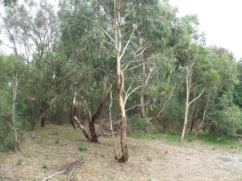 Lot 2, 127a North Road, Nairne SA 5252