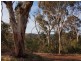 134 Stringy Bark Road, Cudlee Creek SA 5232