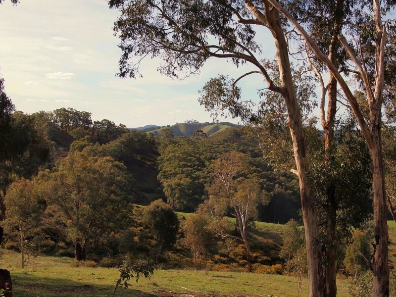 134 Stringy Bark Road, Cudlee Creek SA 5232