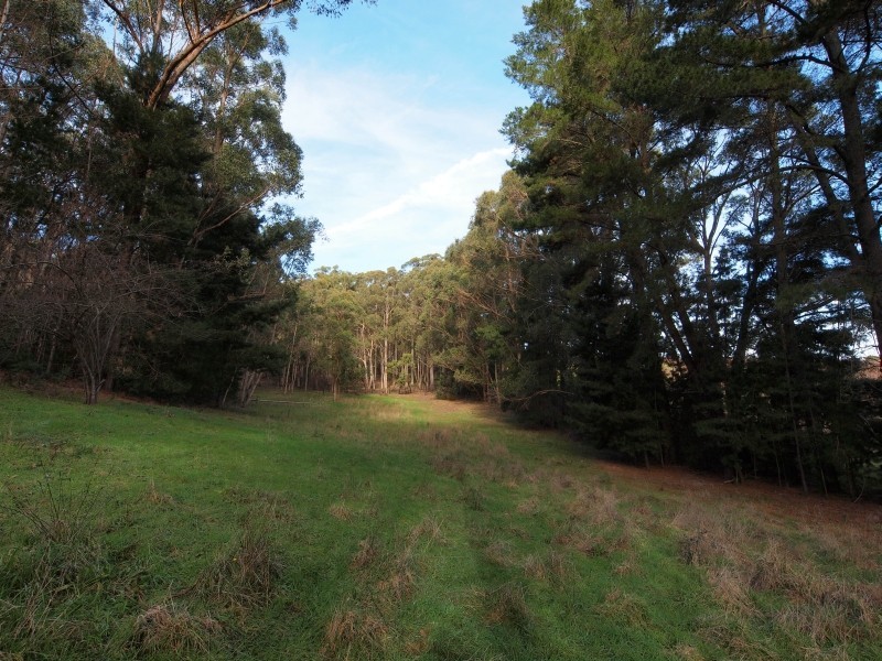 134 Stringy Bark Road, Cudlee Creek SA 5232
