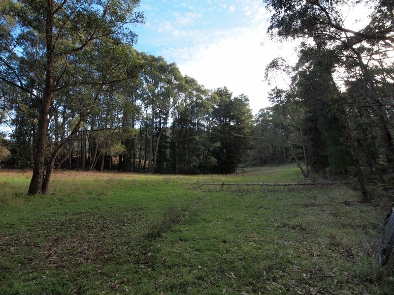 134 Stringy Bark Road, Cudlee Creek SA 5232