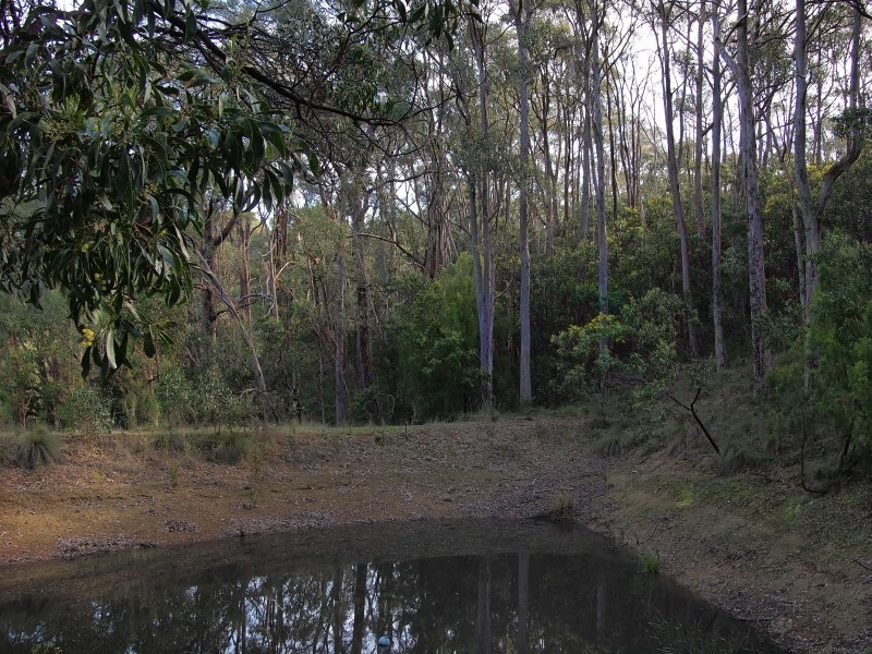 134 Stringy Bark Road, Cudlee Creek SA 5232