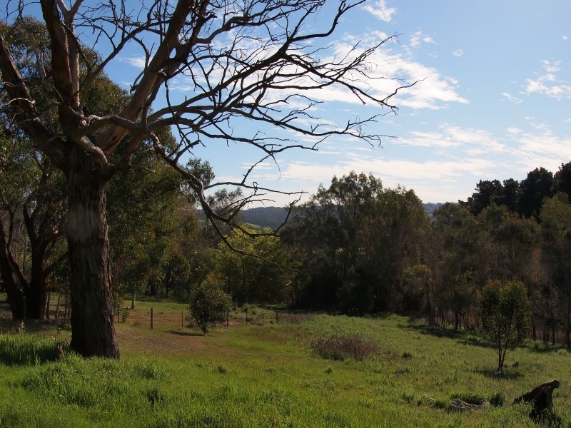 61b River Road (Lot 72), Hahndorf SA 5245