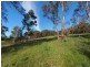 61b River Road (Lot 72), Hahndorf SA 5245