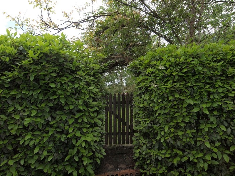 20 Duncan Crescent, Mount Barker SA 5251