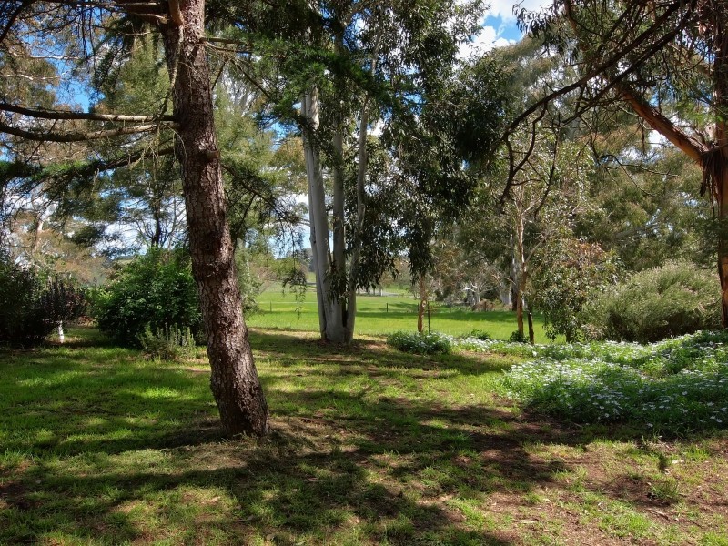 37 Jones Road, Balhannah SA 5242