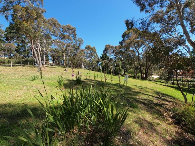 135 Main Street, Hahndorf SA 5245