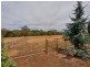 Lot 100 Elm Street (Off Tiers Road), Woodside SA 5244