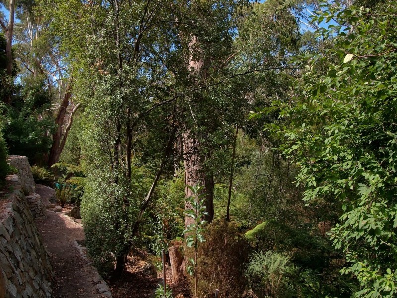 3 Beadnell Crescent, Bridgewater SA 5155