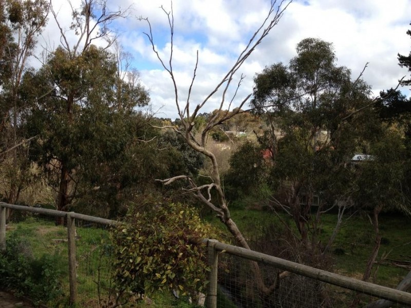 16 Luck Street, Macclesfield SA 5153