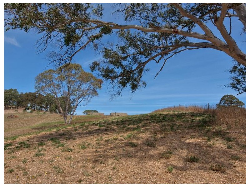 254 Paechtown Road, Hahndorf SA 5245