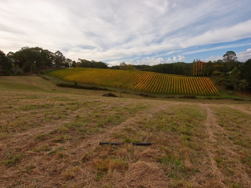 82 Bonython Road, Summertown SA 5141