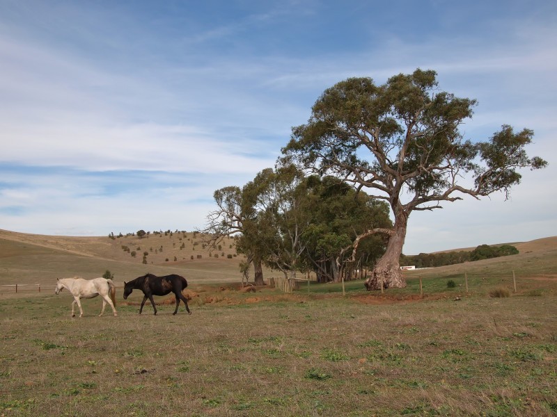 Sec 2019 Snake Gully Road, Harrogate SA 5244