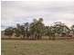 Sec 2019 Snake Gully Road, Harrogate SA 5244