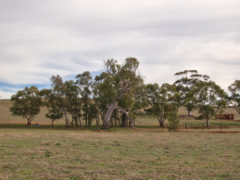 Sec 2019 Snake Gully Road, Harrogate SA 5244