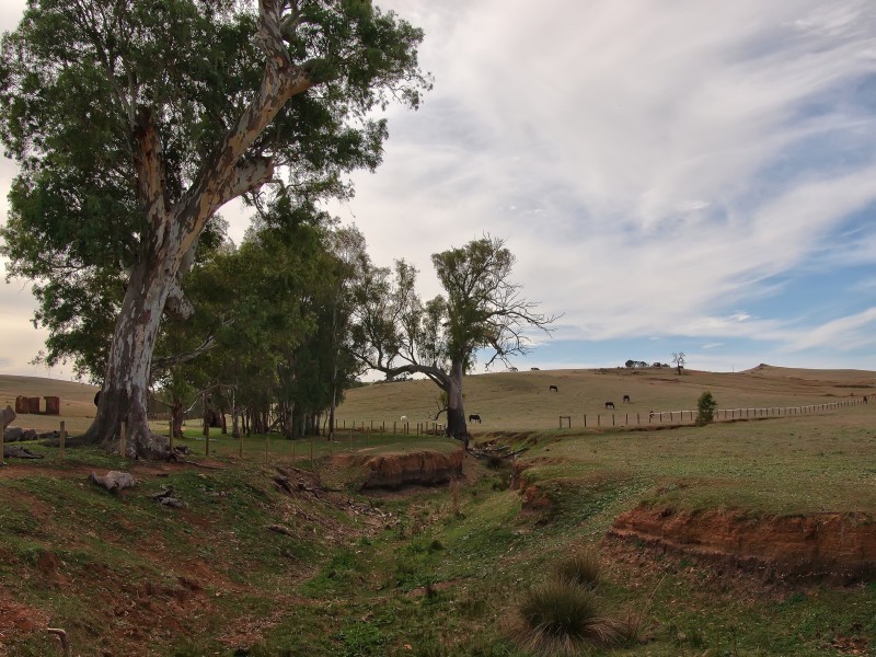 Sec 2019 Snake Gully Road, Harrogate SA 5244