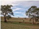 Sec 2019 Snake Gully Road, Harrogate SA 5244
