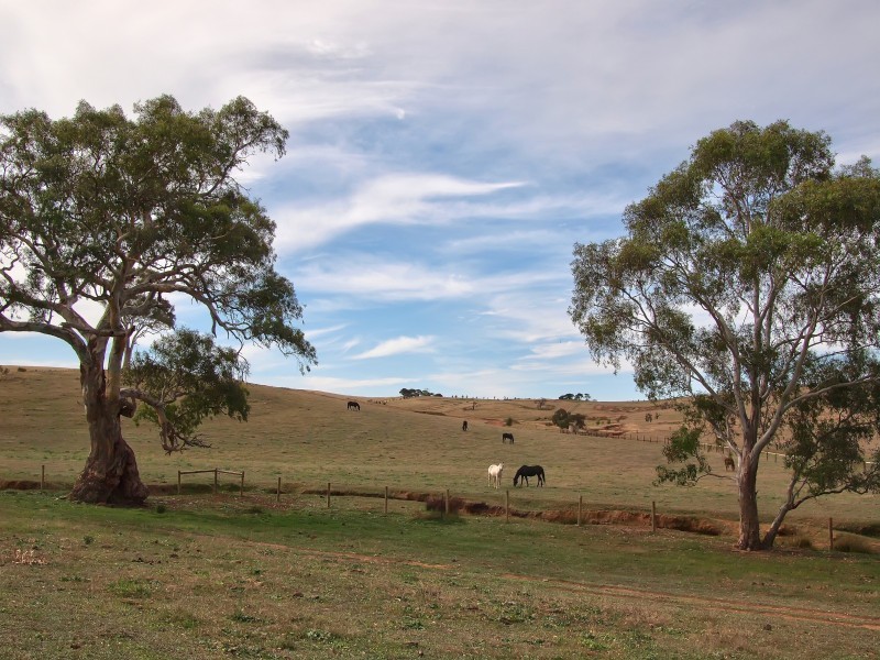 Sec 2019 Snake Gully Road, Harrogate SA 5244