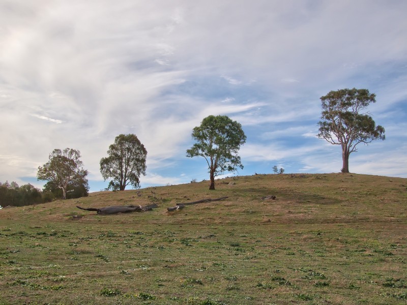 Sec 2019 Snake Gully Road, Harrogate SA 5244