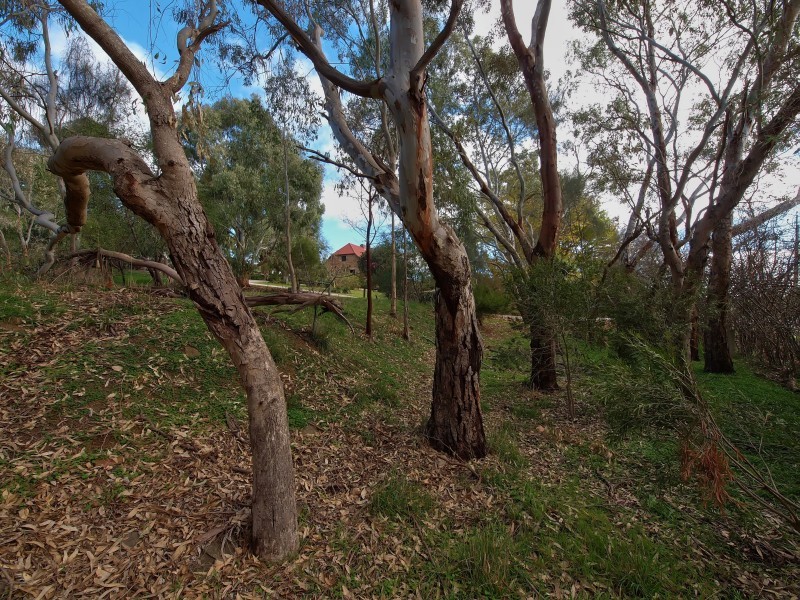 258 Springhead Road, Mount Torrens SA 5244